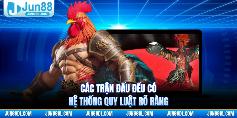 Các trận đấu đều có hệ thống quy luật rõ ràng