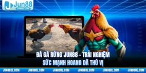 Đá Gà Rừng JUN88 - Trải Nghiệm Sức Mạnh Hoang Dã Thú Vị