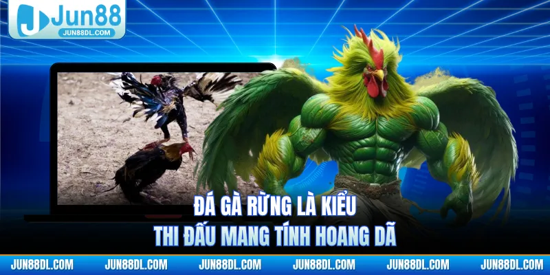 Đá gà rừng là kiểu thi đấu mang tính hoang dã