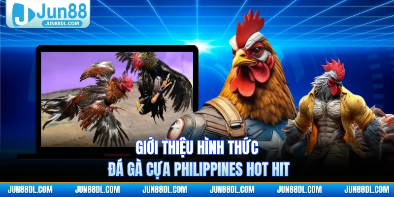 Giới thiệu hình thức đá gà cựa Philippines hot hit