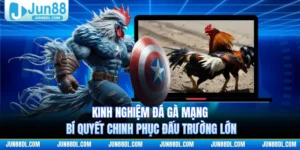 Kinh Nghiệm Đá Gà Mạng - Bí Quyết Chinh Phục Đấu Trường Lớn