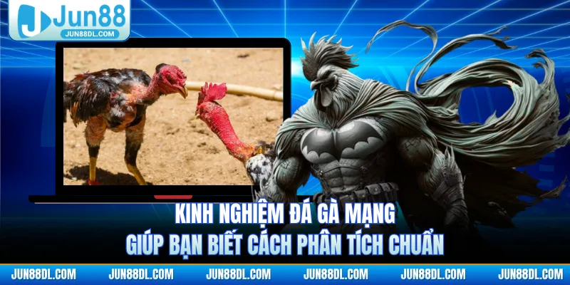 Kinh nghiệm đá gà mạng giúp bạn biết cách phân tích chuẩn