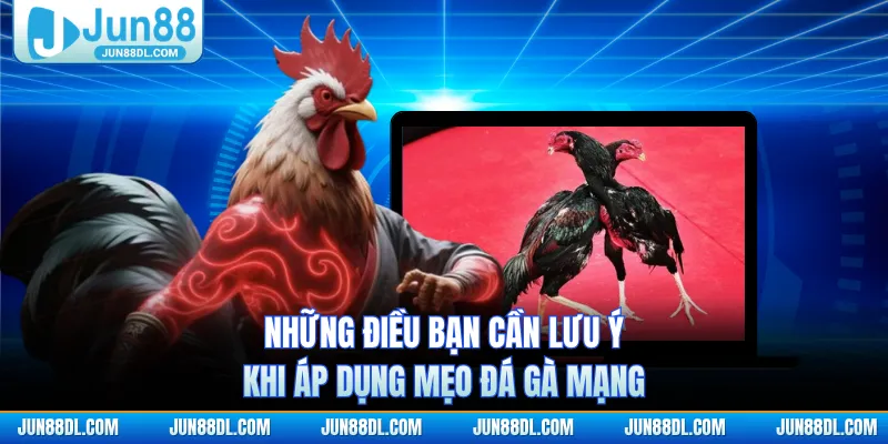 Những điều bạn cần lưu ý khi áp dụng mẹo đá gà mạng